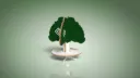 Design - 900110 - Tree with bench